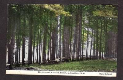 NH Grove Stratham Hill Park NEW HAMPSHIRE POSTCARD PC