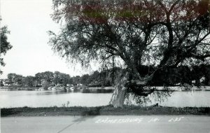 RPPC Postcard; Shoreline Medium Lake, Emmetsburg IA Palo Alto Co. L-35 LL Cook