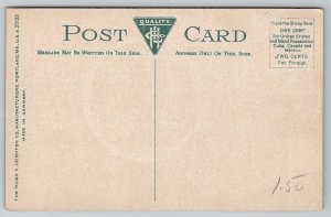 Brownville Maine The Falls Postcard C28