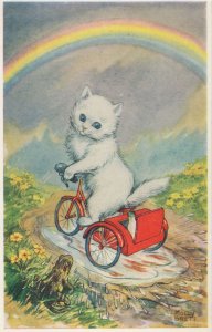 Cat On A Bicycle Rainbow Frog Painting Transport Postcard