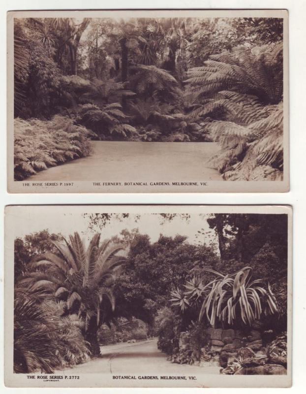 P97 JL old RPPC postcard fernery botanical gardens melbourne