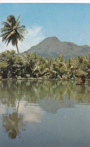 Martininque The Mont Pele From The Parnasse