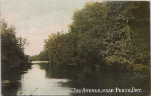 The Avenue near Perth Ontario ON c1906 Adams Postcard H24