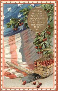 Patriotic American Flag Cherries Ax George Washington Birthday TUCK 178 Postcard