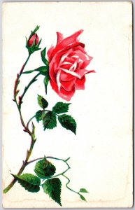 Red Rose Large Print Birthday Greetings And Wishes Card Postcard