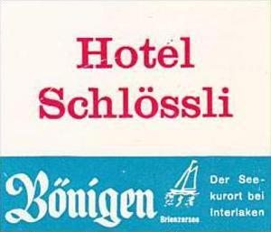 SWITZERLAND BOENIGEN HOTEL SCHLOESSLI VINTAGE LUGGAGE LABEL