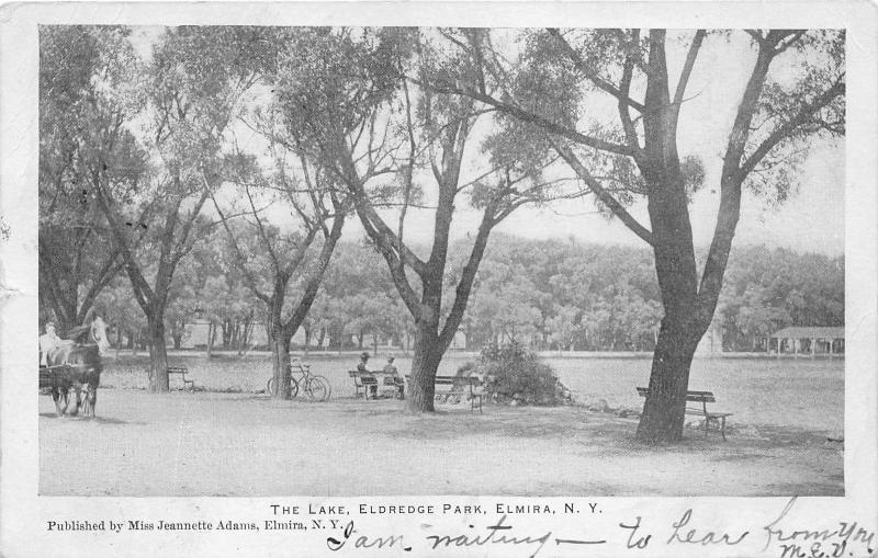 Elmira New York~Eldredge Park Lake~People on Bench~Bicycle~Horse Carriage~1906