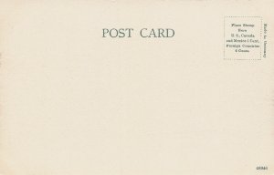 Mitchell Park, Milwaukee, Wisconsin, Very Early Postcard, Unused