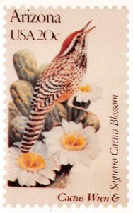 WREN & SAGUARO CACTUS BLOSSOM BIRD FLOWER ARIZONA STAMP ANDREWS CACHET POSTCARD