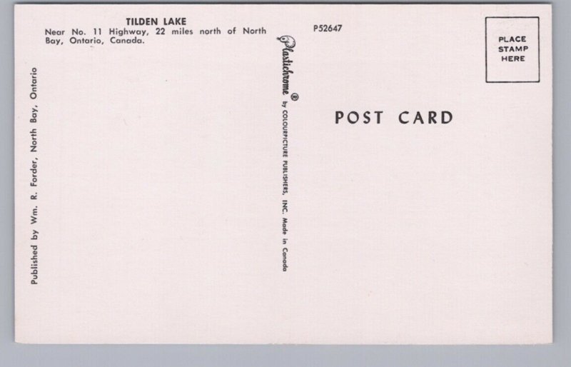 Sailboat, Tilden Lake Near North Bay, Ontario, Vintage Chrome Postcard