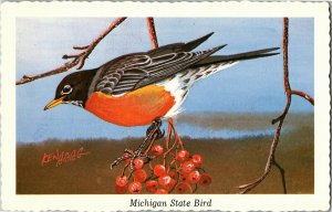 Robin, Michigan State Bird Artist Ken Haag Postcard B62