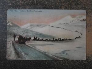 THOMSON PASS AK AKLASKA - WINTER TRAIL c1910 Postcard