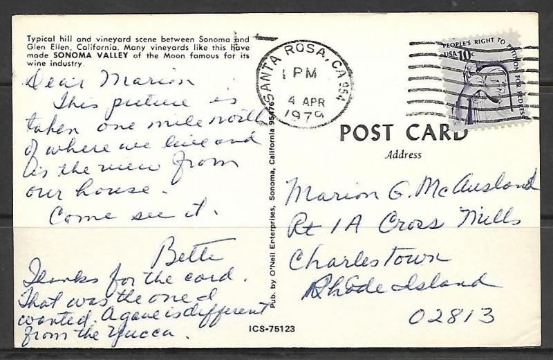 California, Sonoma - Vineyard Scene - [CA-096]