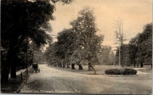 Vtg Princeton New Jersey NJ Stockton Street View 1909 Antique Postcard