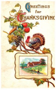 Thanksgiving  Tom Turkey ,  Farm House