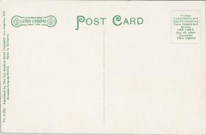 The Pike Long Beach CA California Skating UNUSED Postcard D90