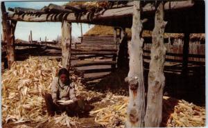 NEW MEXICO, NM  HARVEST TIME at PUEBLO  c1950s Native American   Postcard