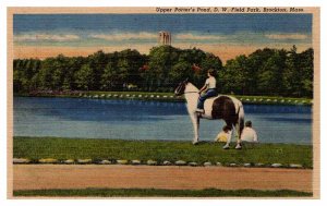 Postcard ANIMAL SCENE Brockton Massachusetts MA AR6889