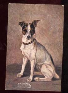 3027201 Smooth FOX TERRIER. By HANSTEIN. Vintage PC