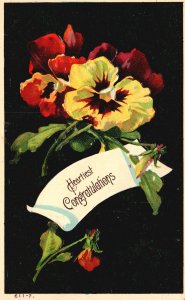 Vintage Postcard Heartiest Congratulations Floral Pansy Art Colorful Flower