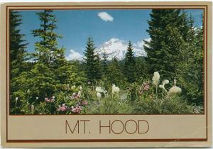 Wild Rhododendron and Bear Grass - Mount Hood in the Oregon Cascades - pm 1988