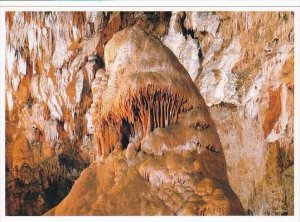 New Mexico Carlsbad Caverns The Caveman