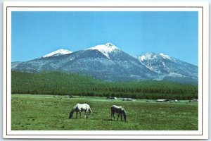 Postcard - San Francisco Peaks - Flagstaff, Arizona