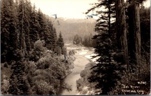 Real Photo Postcard View of the Eel River along the Redwood Highway California
