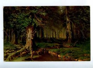 224527 RUSSIA KLEVER Forest Granberg #243 vintage postcard