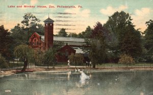 Vintage Postcard 1917 Lake & Monkey House Zoo Philadelphia Pennsylvania PA