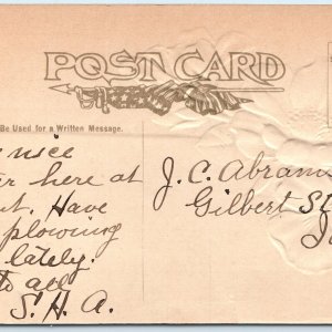 c1910s Bondville, IL Greetings Mica Glitter Floral Embossed Postcard ILL A169