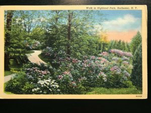 Vintage Postcard 1941 A Walk in Highland Park Rochester New York