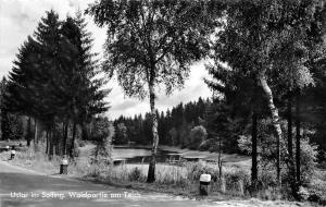 BG23331 uslar im solling waldpartie am teich    germany CPSM 14x9cm