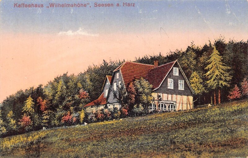 A176 Germany Kaffeehaus Wilhelmshoehe Seesen a Harz Cafe vintage postcard