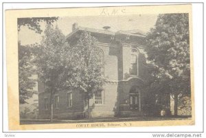Exterior, Court House, Belmont, New York, PU-1918