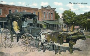 Postcard Early View of Oxen Cart, Overland Express      P4