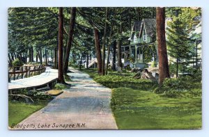 Blodgett Street View Lake Sunapee New Hampshire NH 1909 DB Postcard Q1