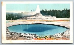 Yellowstone National Park  Castle Geyser  Wyoming    Postcard