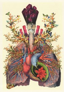 Heart Lungs Anatomy as Flower Garden French Artist 8x6 Painting Postcard