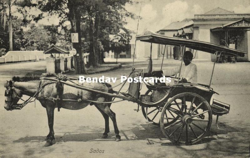 indonesia, JAVA, Native Javanese Horse Cart, Sados (1910s)