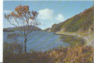 Scotland Postcard - Loch Moidart - Inverness-shire   AB562