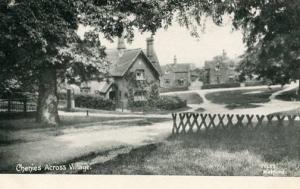 UK - England, Watford Village Paths