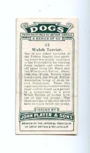 166927 WELSH TERRIER WARDLE Player CIGARETTE card ADVERTISING