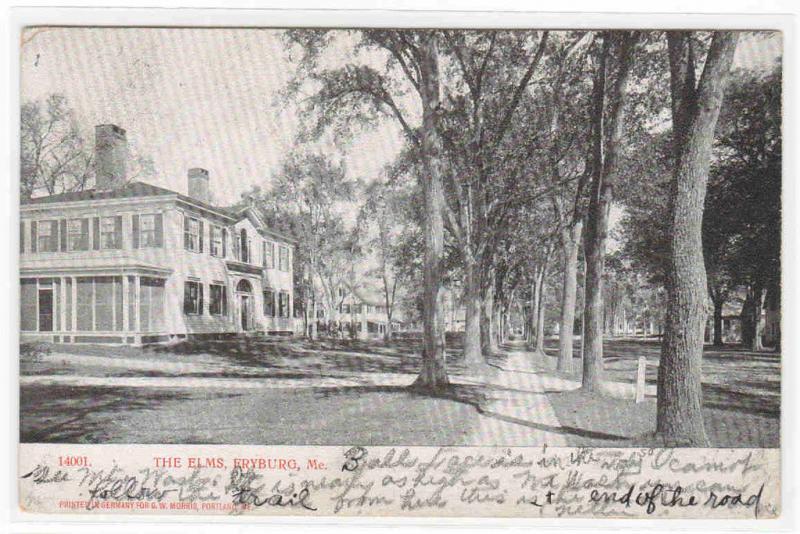 The Elms Street Scene Fryburg Maine 1908 postcard