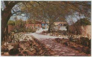 GHOST RANCH LODGE CACTUS GARDEN TUCSON AZ POSTCARD