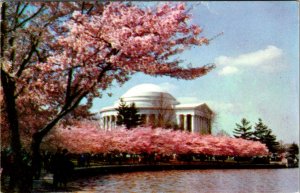 Washington DC - Jefferson Memorial - [DC-369]