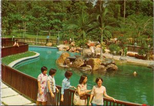 Singapore Zoo Seal and Penguin Pool