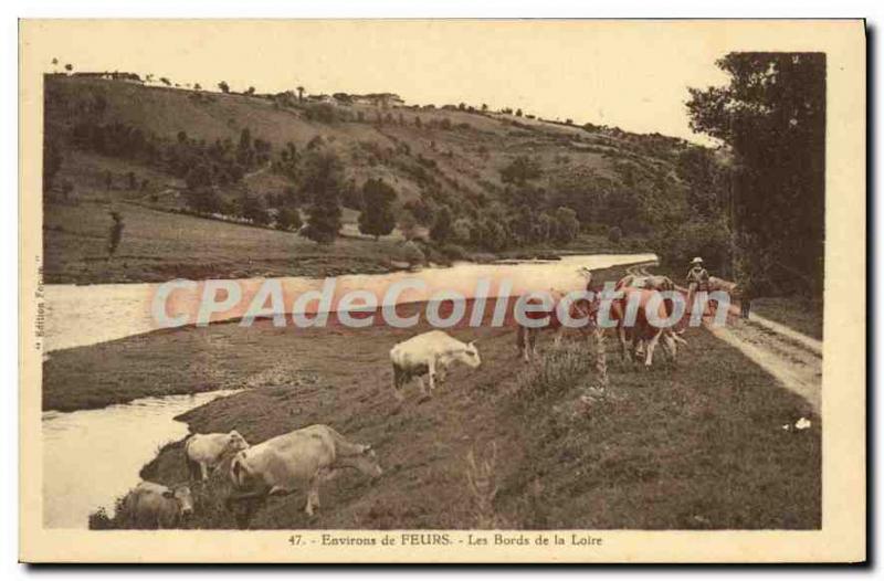 Old Postcard surroundings Feurs The Banks of the Loire