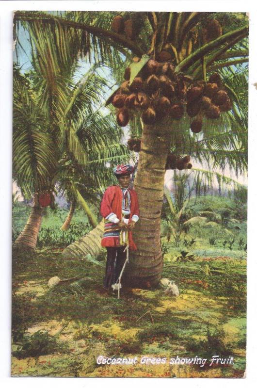 Florida Coconut Trees Man Costume 1910 Cocoanut Postcard