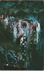 USA Texas Georgetown Inner Space Cavern Vintage Postcard C213